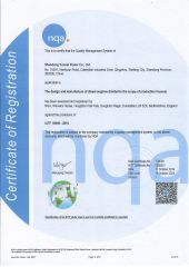 ISO/TS16949 certificate from Shandong Yunnei Power Co., Ltd.