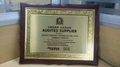 SGS AUDIT SUPPLIER certificate from Shandong Chenxu New Material Co., Ltd.