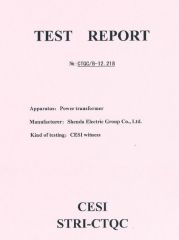 CESI witness-1 certificate from Shenda International Engineering Co., Ltd.