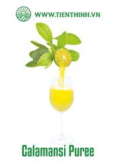 Frozen Calamansi juice NFC Ph 2.0 – 2.8 Origin Vietnam Brix 8.0 Minimum Coliforms <10 Cfu/g Foreign Matter None Insoluble Solid 6% Max - Image 1
