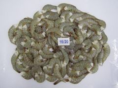 Company – thumbnail 2 of 30, supplier detail gallery