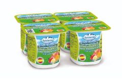 Yogurt Fruit Salad - Image 1