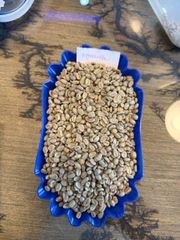 Ethiopia arabica green coffee beans - unwashed yirgachefe G/1 - Image 2