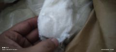 High Fat Desiccated Coconut Fine Grade - Image 2