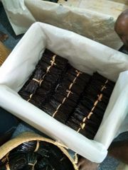 Vanilla Beans – product photo 2, product detail gallery