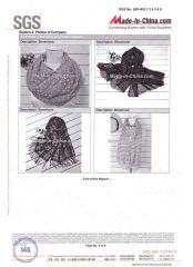 SGS certification certificate from Shanghai Brothers Textile Co., Ltd.
