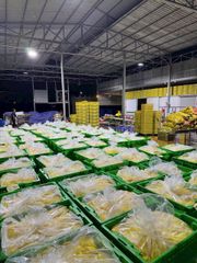 Soft Dried Mango from Vietnam - Image 3