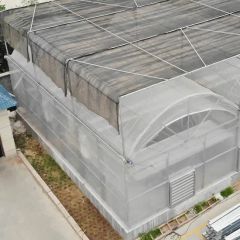 Commercial Plastic Film Greenhouse for Vegetable Span Multi Size Large Layer Single Trademark Sinok Thickness 0.15mm Location - Image 3