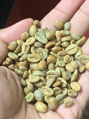 Robusta Green Beans Grade 1 – product photo 1, product detail gallery