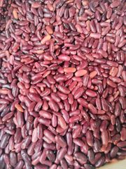 Red Kidney Beans - Image 3