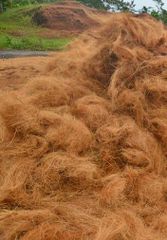 Coconut Fiber Bales Pressed Origin From Indonesia - Image 5