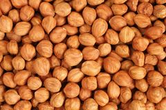 Wholesale Hazelnut Kernels With Premium Quality Fresh Flavor And Crunchy Texture Suitable For Confectionery Bakery - Image 2