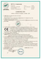 CE-Electric Wire Rope Hoist certificate of Giant Lift Co., Ltd. – certificate photo, supplier certificates section