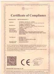 LED Panel Light certificate from Rayborn Lighting Industry Co., Ltd.