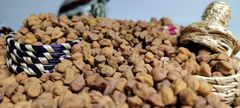 2024 New Crop Ethiopian Origin Desi Chickpeas Premium Quality Bulk Dried Machine Cleaned and Polished Kabuli Type - Image 5