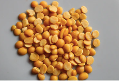 Organic Yellow Arhar Lentil - Image 3