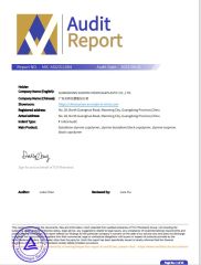 Audit report certificate from GUANGDONG SUNION CHEMICAL&PLASTIC CO., LTD.