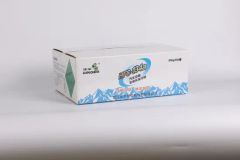 340g R134A Hydrocarbon for Automotive Air Conditioning Systems - Image 4