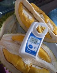 Durian – product photo 3, product detail gallery