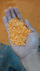 Canada imported toor dal processed in India -first quality product masoor dal adithya brand - Image 4