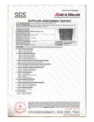 sgs certificate from Landsem Baoding Import and Export Trading Co., Ltd.