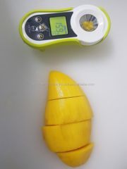 High Quality Premium Fresh MANGO from Manufacture and Exporter from Thailand - Image 2
