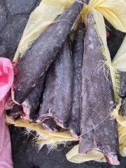 Oilfish Hgt Frozen Oil Fish Style Hgt MOQ 1*40FCL Model NO. fish Processing BQF Feature Nature HS Code 03034300 Trademark - Image 3
