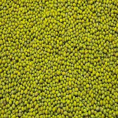 Clean Green Mung Beans Whole Seeds Fresh Dried High Protein Suitable For Cooking Curry Soup Sprouts And Food Manufacturing Use Buy Today Fast Delivery Premium Quality Wholesale - Image 5