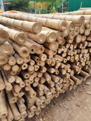 Bamboo products decorative bamboo poles bamboo raw materials from 99 Gold Data (84 327076054) - Image 2