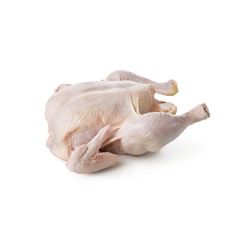 Premium Supplier Halal Frozen Whole Chicken Halal Chicken Processed Meat from Portugal – product photo 2, product detail gallery
