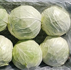 white Cabbage Style Fresh Address egypt Model Number 1 Quality Top Grade Manufacturer Bloom Taste Natural Taste Color Purple, - Image 6