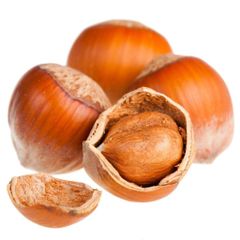 Premium Fresh Hazelnuts Bulk Supply Natural Healthy Snack Wholesale Perfect for Baking Cooking and Chocolate Making - Image 3