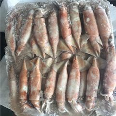 top selling fozen black squid from factory in bulk to export for wholesales - Image 2