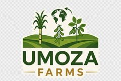 UMOZA FARMS (PTY) LTD