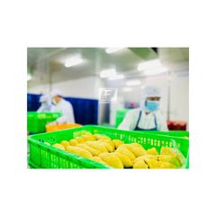 Frozen Fruit From Vietnam Frozen Durian Best Export From Sweet Taste Year Round Season Vietnam 24 months Shell Life - Image 6
