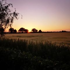 Premium Quality Malawi AA Mzuzu Maple Dried Fruit Arabica Green Coffee Raw Beans 1 kg bag Green Coffee Beans For Wholesale - Image 3