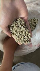 Coffee bean Robusta & Arabica - Image 1