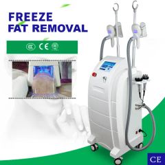 Button Screen Vertical Cryolipolysis Fat Loss Body Shaping Machine - Image 6