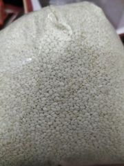 Sesame Seeds – product photo 4, product detail gallery