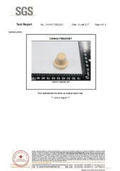 SGS test report by synthetick report certificate from Xinjiang Huanghe Packing Co., Ltd.