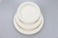 Disposable Bagasse Plate Biodegradable Compostable Sugarcane Tableware Plate - Image 6