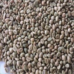 Arabica Coffee Beans Bulk Supplier Export Quality | Grade AA & AB Top Quality Green Coffee Bean - Image 3