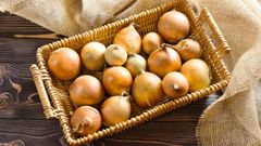 Fresh Onions For Restaurant Use Offering Natural Taste Firm Bulbs And Consistent Quality Suitable - Image 4
