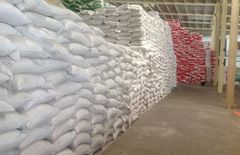 Maize (Corn) Purity 98% Minimum Crude Fat 4% Minimum Total Ash 1.5% Maximum Other Grains 2% Maximum Shelf Life 12-24 - Image 3