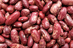 Red Kidney Bean - Image 3