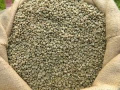 Arabica - Image 3