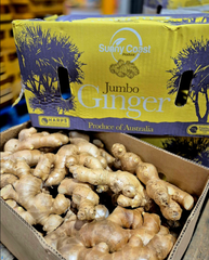 EXPERIENCE SUPERIOR QUALITY JUMBO GINGER BRAND LARGE SIZE FRESH GINGER WITH STRONG FIBER STRUCTURE 13Kg CARTONS READY FOR EXPORT - Sosa Merchant Solutions