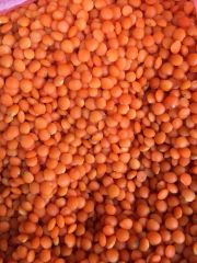 Red Lentils – product photo 2, product detail gallery