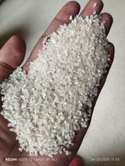 IRRi-6 LGWR 100% broken - Pakistan origin – product photo 2, product detail gallery
