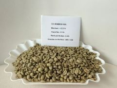 coffee Arabica - Robusta - Image 4